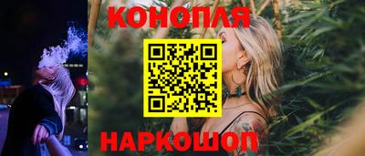 стаф Шебекино