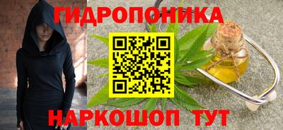 стаф Шебекино