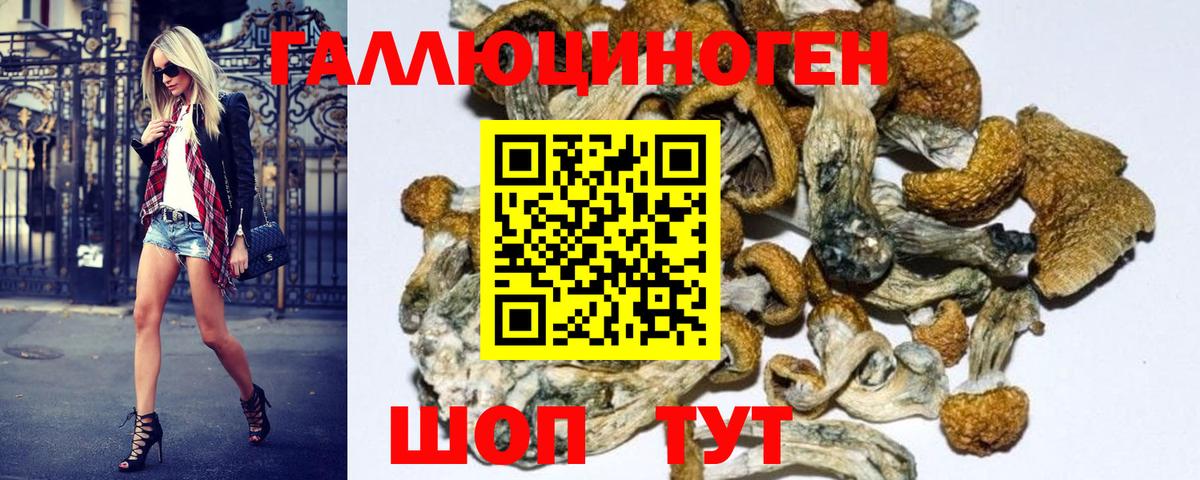 Галлюциногенные грибы Psilocybine cubensis  Галлюциногенные грибы Psilocybe  Кашира  Вход с VPN 